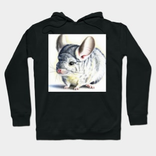 cute chinchilla 1 Hoodie